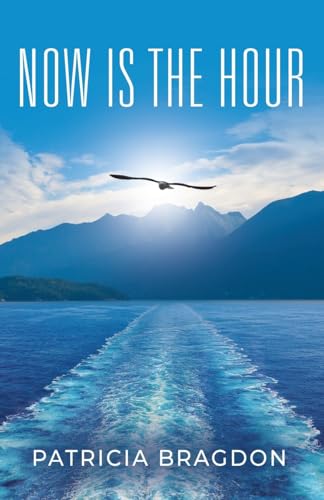 Now is the Hour Now is the Hour von Booklocker.com
