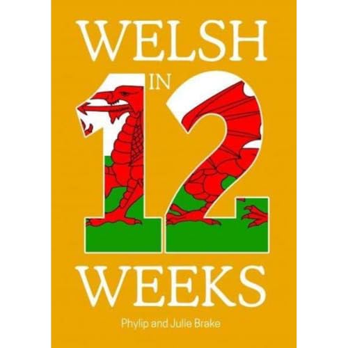 Welsh in 12 Weeks Welsh in 12 Weeks von Gwasg Carreg Gwalch