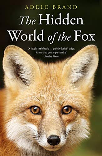 The Hidden World of the Fox von William Collins