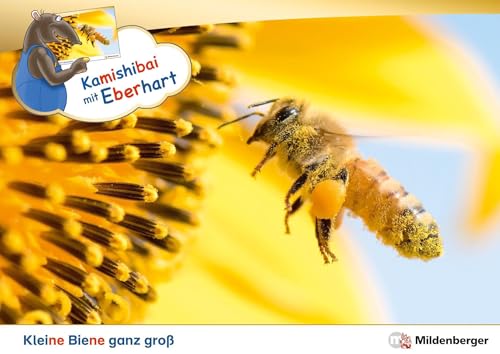 Kamishibai mit Eberhart – Kleine Biene ganz groß – Set: Erzähltheater-Karten mit (Vor-)Leseheft-Paket
