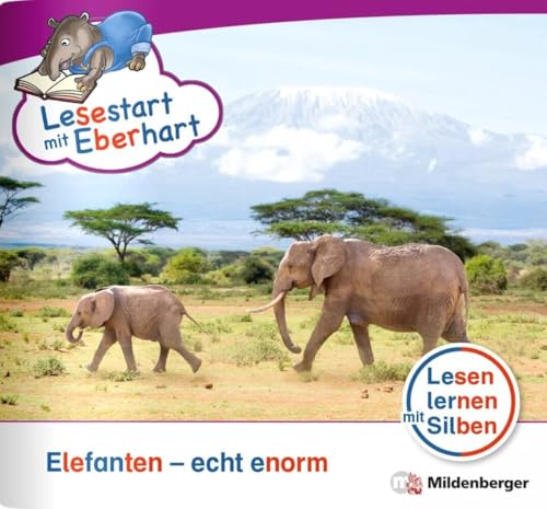 Lesestart mit Eberhart: Elefanten – echt enorm: Themenheft für Erstleser, Lesestufe 4 (Lesestart mit Eberhart: Lesen lernen mit Silben - Themenhefte für Erstlesekinder - 5 Lesestufen) von Mildenberger Verlag GmbH