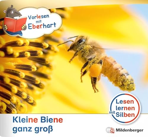 Vorlesen mit Eberhart – Kleine Biene ganz groß – Nachbezug Einzelheft (Kamishibai mit Eberhart) von Mildenberger Verlag GmbH