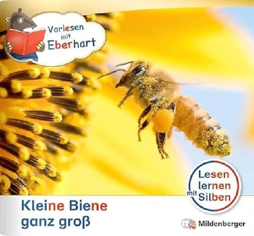 Vorlesen mit Eberhart – Kleine Biene ganz groß – Nachbezug Einzelheft (Kamishibai mit Eberhart)