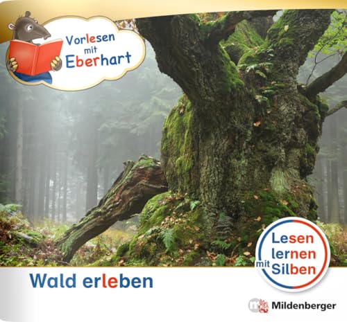 Vorlesen mit Eberhart – Wald erleben – Nachbezug Einzelheft (Kamishibai mit Eberhart)