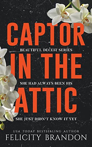 Captor In The Attic (Beautiful Deceit, Band 1)