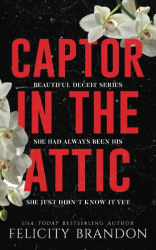 Captor In The Attic: A Dark Captivating Romance (Beautiful Deceit, Band 1)