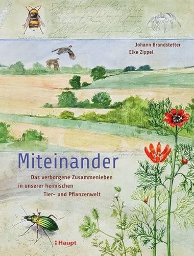 Miteinander: Das verborgene Zusammenleben in unserer heimischen Tier- und Pflanzenwelt von Haupt