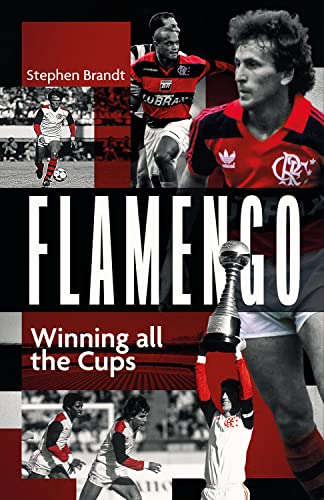 Flamengo: Winning All the Cups