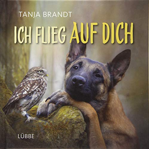 Ich flieg auf dich Ich flieg auf dich
