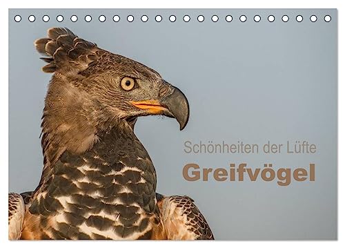 Schönheiten der Lüfte - Greifvögel (Tischkalender 2024 DIN A5 quer), CALVENDO Monatskalender