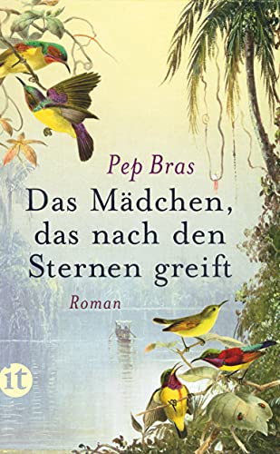 Das Mädchen, das nach den Sternen greift: Roman (insel taschenbuch)