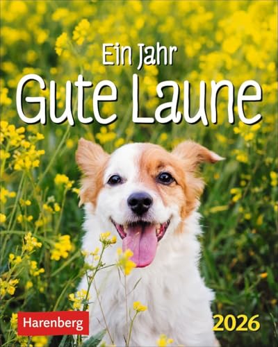 Ein Jahr gute Laune Mini-Geschenkkalender 2026: Kleiner Kalender zum Schmunzeln an jedem Tag, mit 365 Zitaten zum Lachen. Aufstellkalender 2026 für ... Freude (Mini-Geschenkkalender Harenberg) von Harenberg