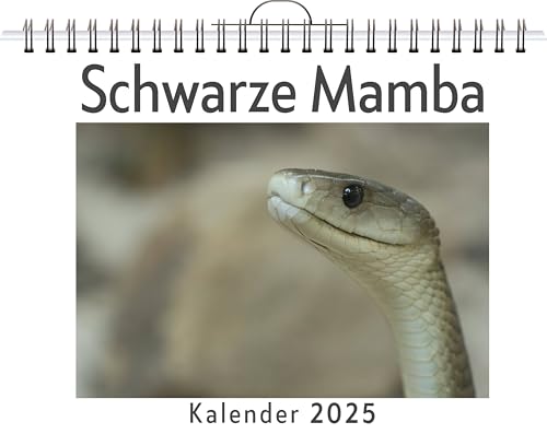 Schwarze Mamba - (Wandkalender 2025, Kalender DIN A4 quer, Monatskalender im Querformat mit Kalendarium, das perfekte Geschenk) von FlipFlop