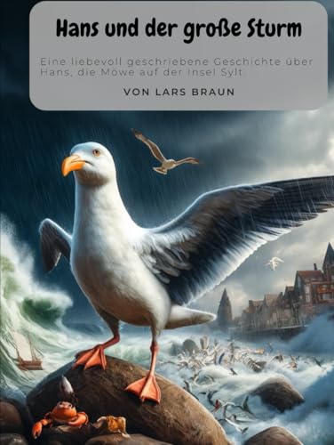 Hans und der große Sturm Hans und der große Sturm von Independently published