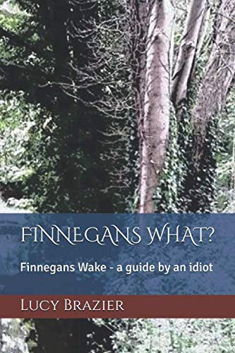 Finnegans What?: Finnegans Wake - A guide by an idiot von Independently published