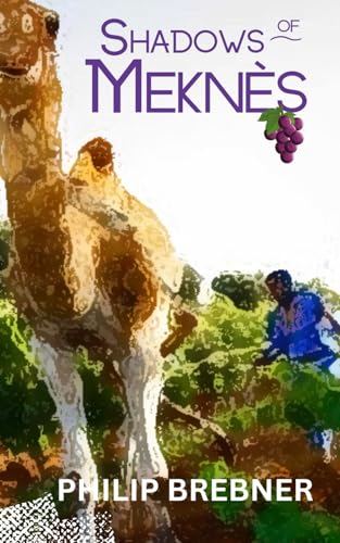 Shadows of Meknès (Ramzi Murder Mysteries, Band 3)
