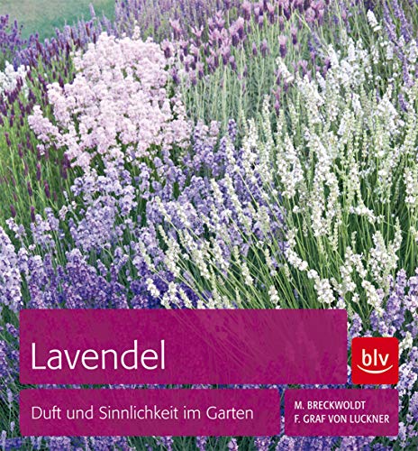 Lavendel: Duft und Sinnlichkeit im Garten Lavendel: Duft und Sinnlichkeit im Garten