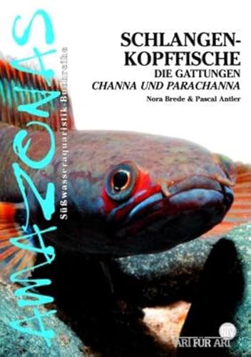 Schlangenkopffische: Die Gattungen Channa und Parachanna