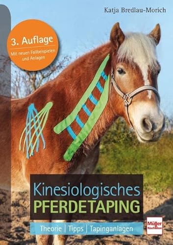 Kinesiologisches Pferdetaping: Theorie - Tipps - Tapinganlagen von Müller Rüschlikon