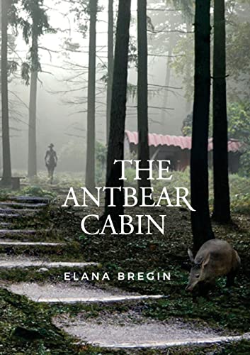 The Antbear Cabin von Wobbling Earth