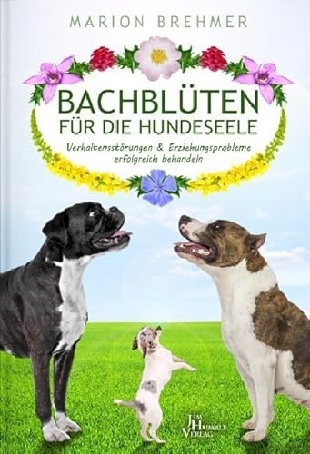 Bachblüten für die Hundeseele: Verhaltungsstörungen und Erziehungsprobleme erfolgreich behandeln