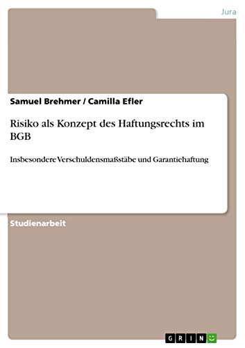 Risiko als Konzept des Haftungsrechts im BGB: Insbesondere Verschuldensmaßstäbe und Garantiehaftung