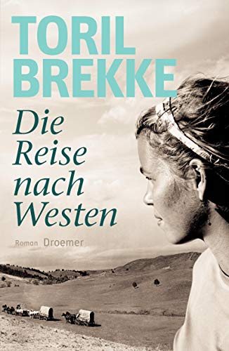 Die Reise nach Westen: Roman
