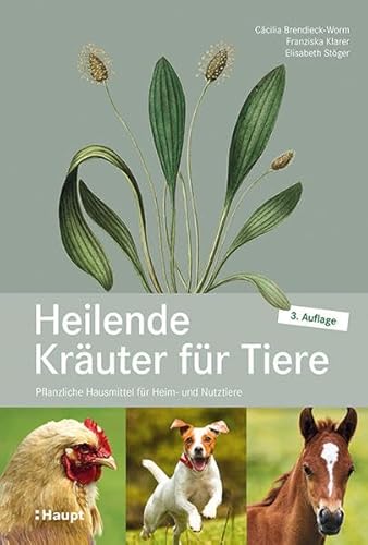 Heilende Kräuter für Tiere: Pflanzliche Hausmittel für Heim- und Nutztiere von Haupt Verlag AG