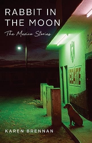 Rabbit in the Moon: The Mexico Stories