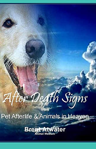 After Death Signs from Pet Afterlife & Animals in Heaven: How to Ask for Signs & Visits and What it Means