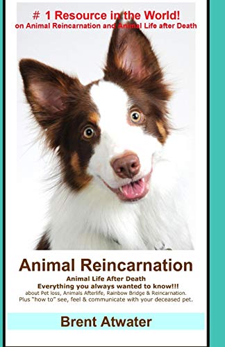 Animal Reincarnation: Everything You Always Wanted to Know! about Pet Reincarnation plus "how to" techniques to see, feel & communicate with your deceased pet