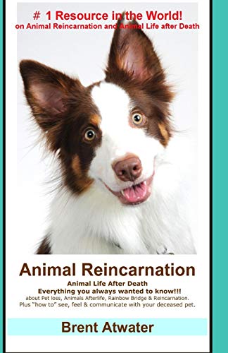 Animal Reincarnation: Everything You Always Wanted to Know! about Pet Reincarnation plus "how to" techniques to see, feel & communicate with your deceased pet von CREATESPACE
