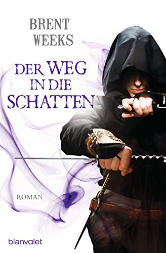 Der Weg in die Schatten: Roman (Schatten-Trilogie (Night Angel), Band 1)