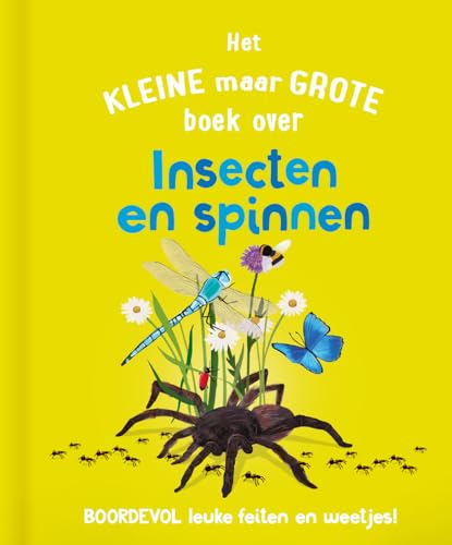 Het kleine maar grote boek over insecten en spinnen: Boordevol leuke feiten en weetjes von Rebo Productions