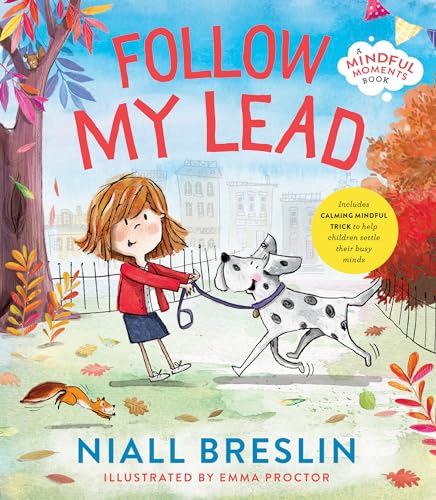 Follow My Lead von Gill Books