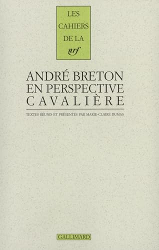 André Breton en perspective cavalière