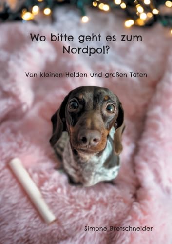 Wo bitte geht es zum Nordpol?: Von kleinen Helden und großen Taten von Books on Demand