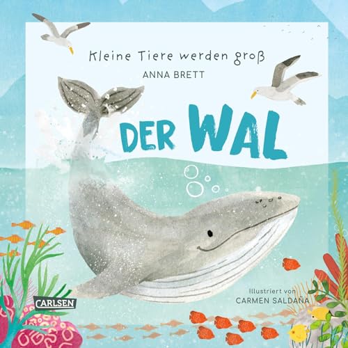 Kleine Tiere werden groß - Der Wal: Eine faktenreiche Bilderbuchgeschichte für Kinder ab 3 Jahren, die von den täglichen Abenteuern eines Wal-Jungen ... vielen Informationen, Quiz und Mitmachseiten