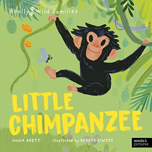 Little Chimpanzee: A Day in the Life of a Little Chimpanzee (Really Wild Families)