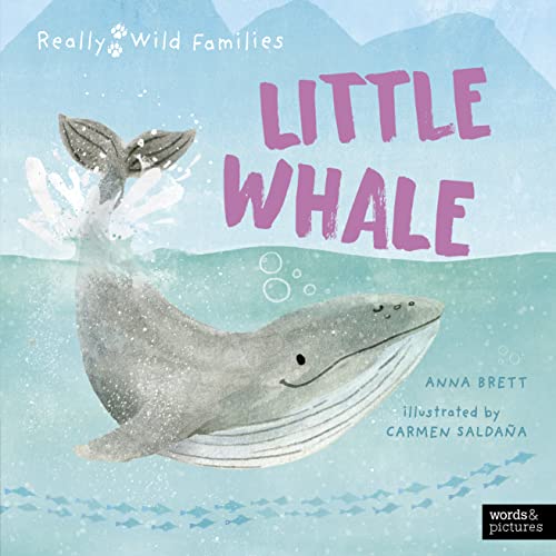 Little Whale: A Day in the Life of a Whale Calf (Really Wild Families) von Words & Pictures