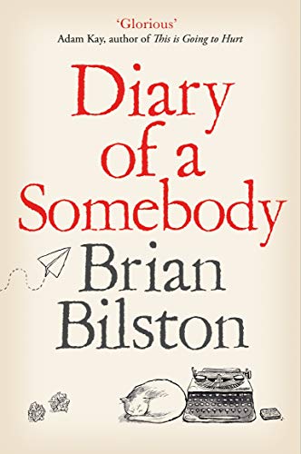 Diary of a Somebody von Picador