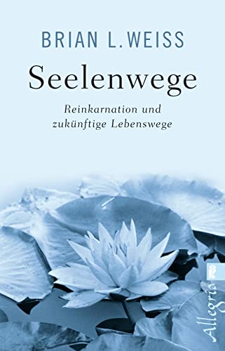 Seelenwege: Reinkarnation und zukünftige Lebenswege von Ullstein Taschenbuchvlg.