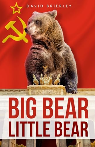 Big Bear, Little Bear von Brash Books