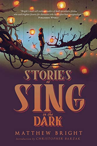 Stories to Sing in the Dark von Lethe Press