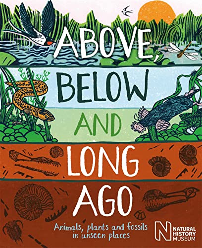 Above, Below and Long Ago: Animals, plants and fossils in unseen places von Wayland
