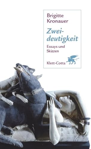 Zweideutigkeit. Essays und Skizzen