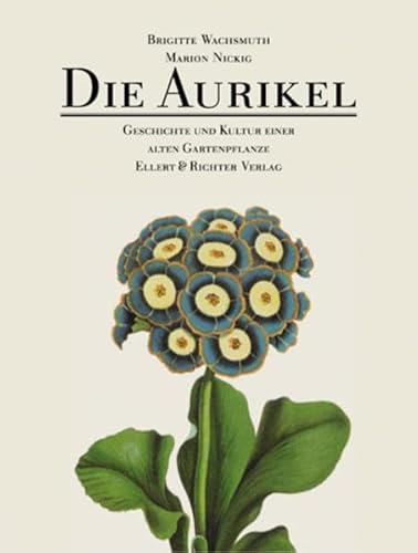 Die Aurikel. Geschichte und Kultur einer alten Gartenpflanze von Ellert & Richter Verlag G
