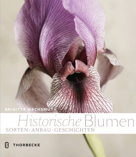 Historische Blumen: Sorten, Anbau, Geschichten