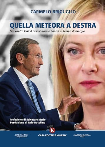 Quella meteora a destra. Fini contro Fini: il caso Futuro e Libertà al tempo di Giorgia (Politika) von Kimerik