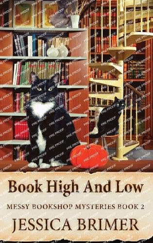 Book High And Low (Messy Bookshop Mysteries, Band 2)